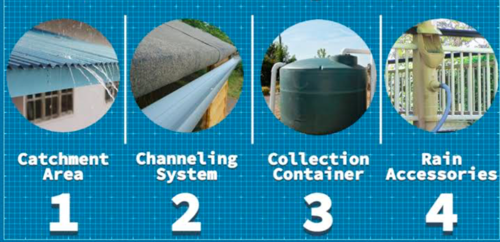 A diagram showing a step by step guide to rainwater collection.
