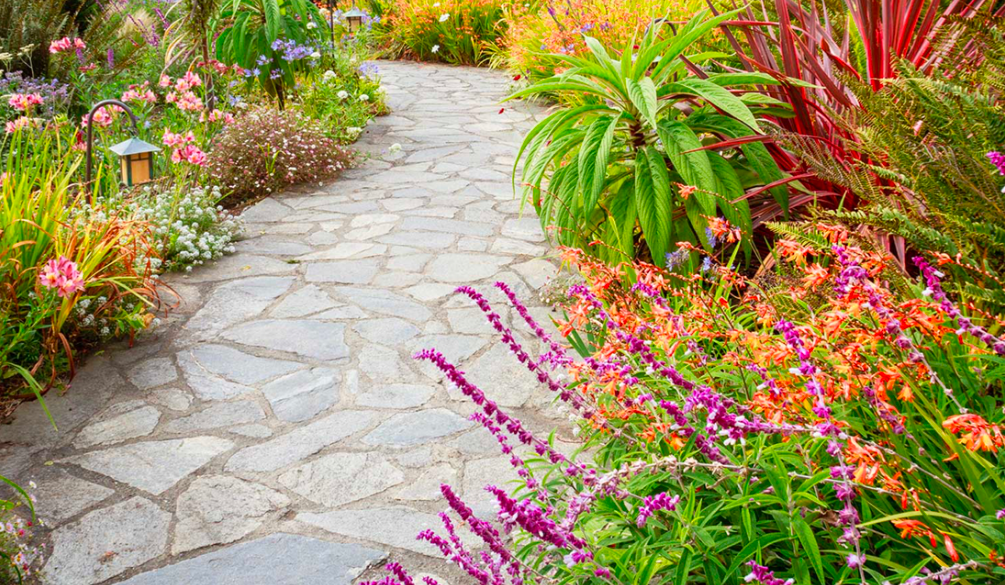 Stone garden pathway lined with vibrant flowering perennials in a cottage garden style
