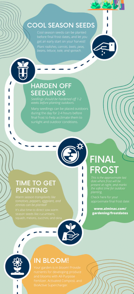 Spring gardening timeline infographic showing planting steps from cool-season seeds to bloom