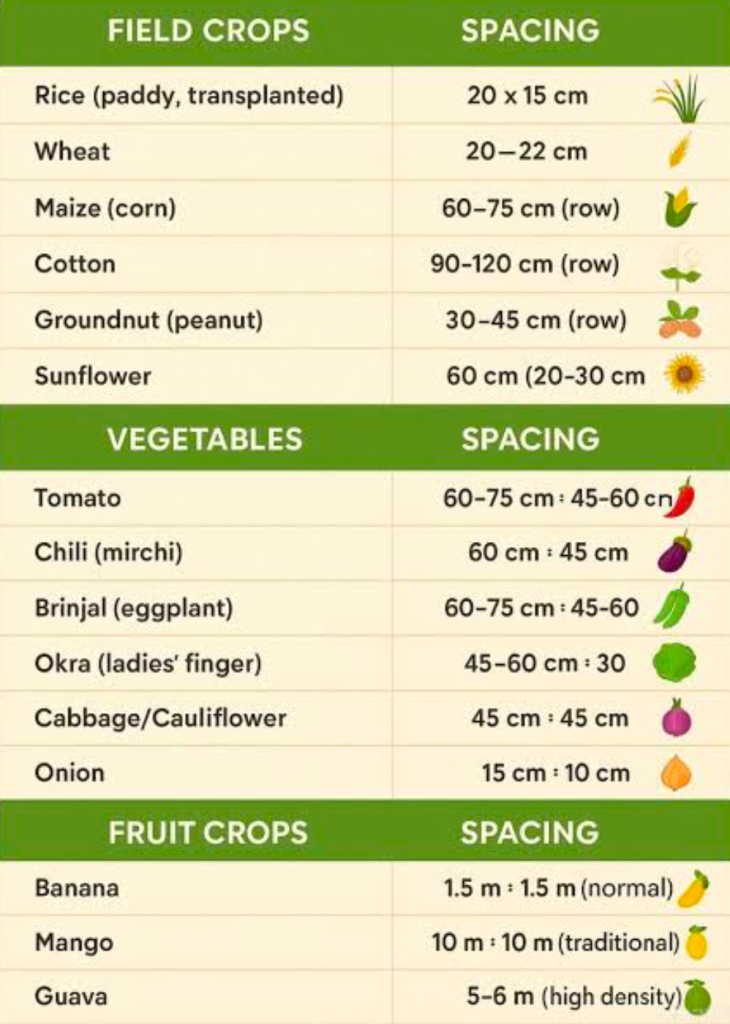 crop spacing chart for field crops vegetables and fruit trees including tomatoes corn okra cabbage onion banana Mango and guava