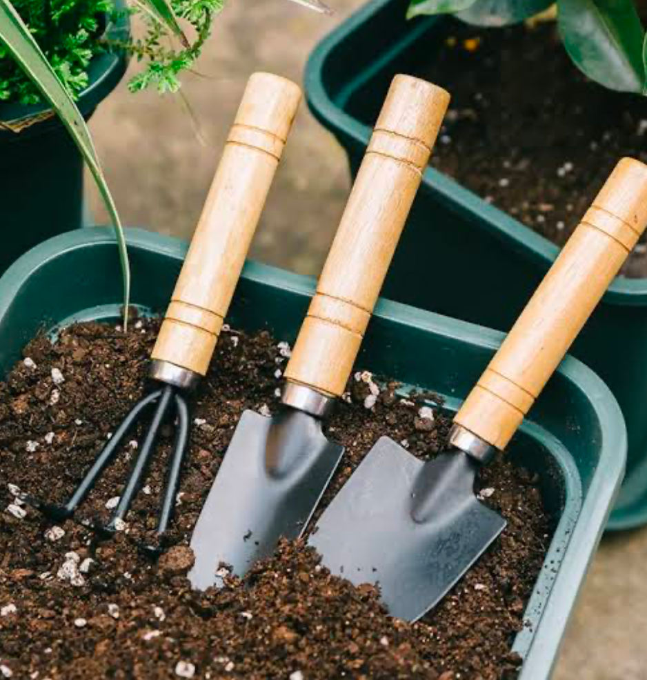 Garden trowels with wooden handles placed in soil for planting and potting tasks