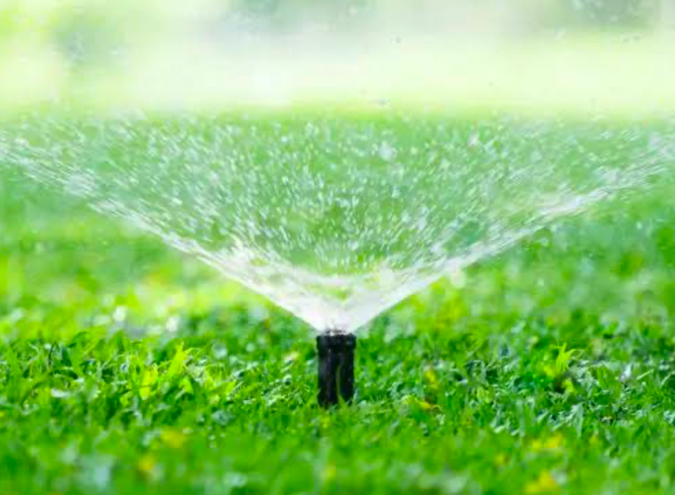 Manual soil aeration using a garden fork to loosen compacted ground