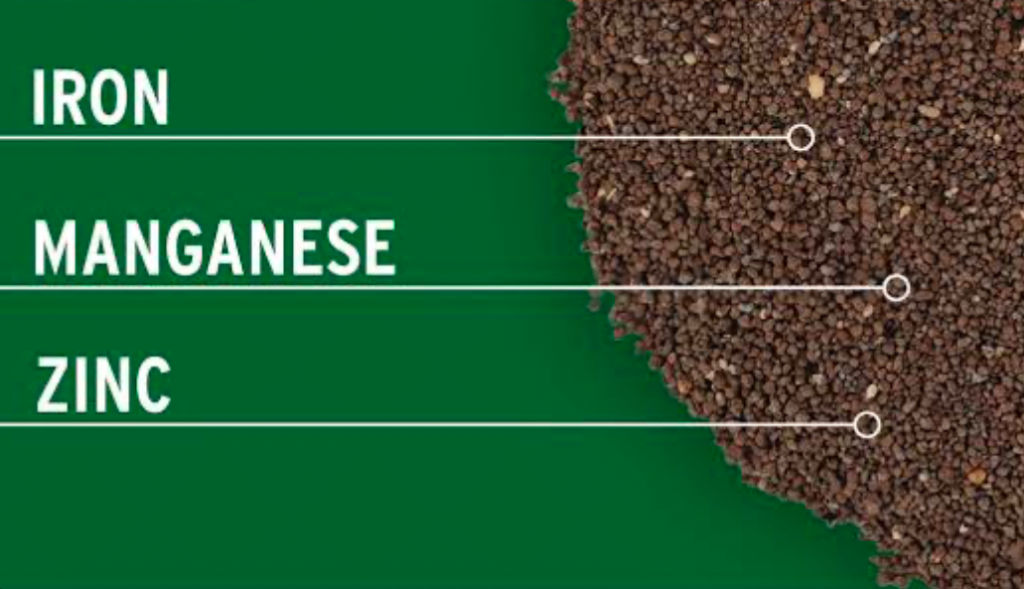 Soil micronutrients infographic highlighting iron, manganese, and zinc for plant growth