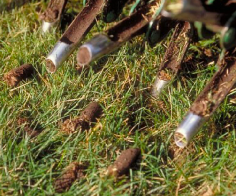 Core lawn aeration machine pulling soil plugs to improve grass root health