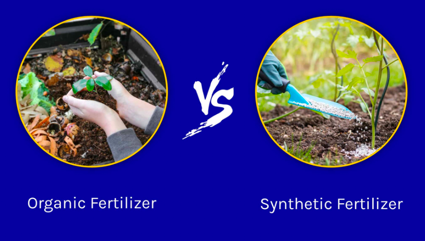 Organic fertilizer versus synthetic fertilizer comparison for garden and lawn care