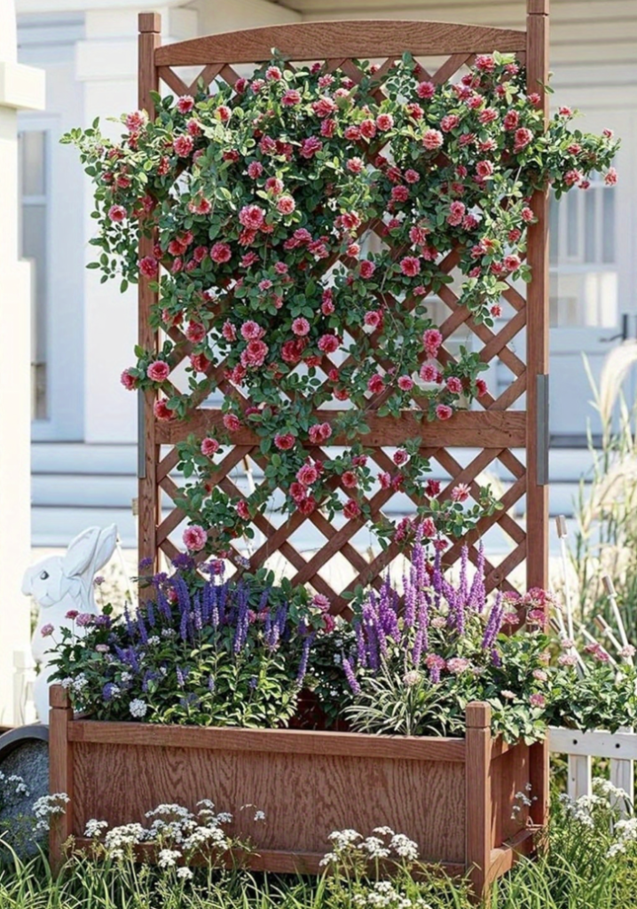 Wooden garden trellis covered with blooming climbing roses and flowering plants