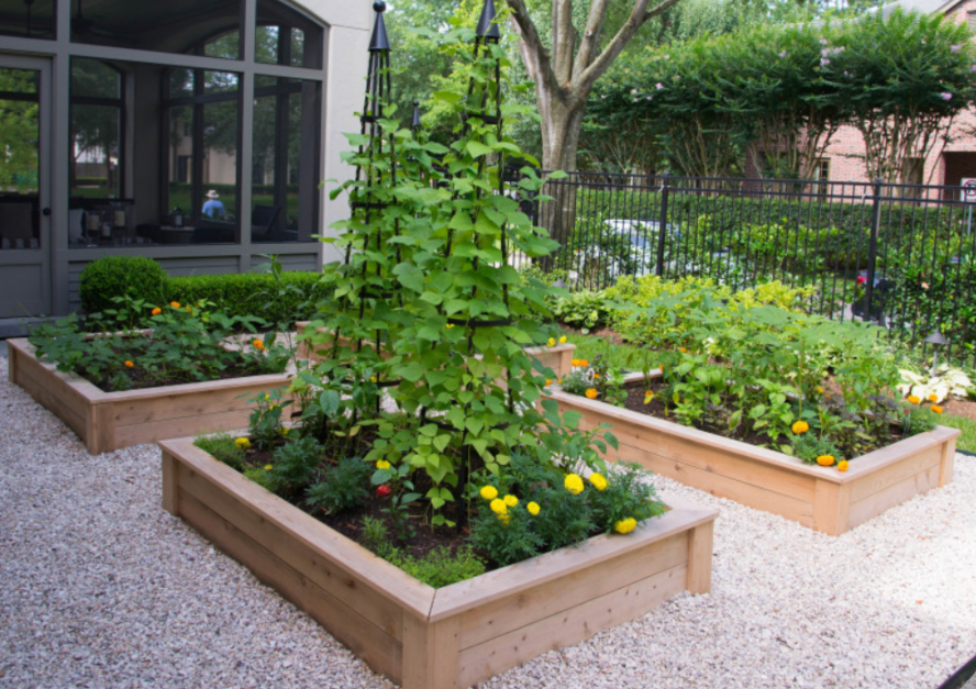 Landscaped backyard with raised garden beds, gravel paths, and climbing plants