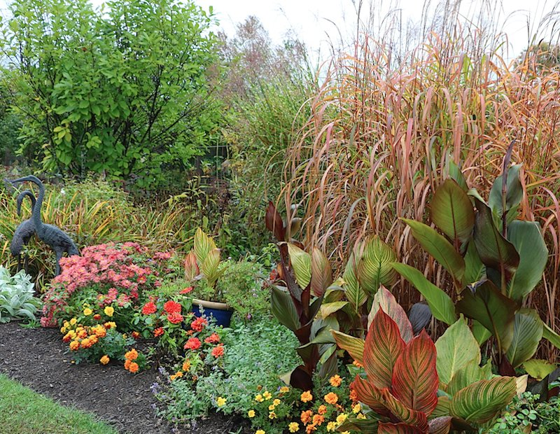Colorful garden bed with ornamental grasses, flowering plants, and layered companion planting design