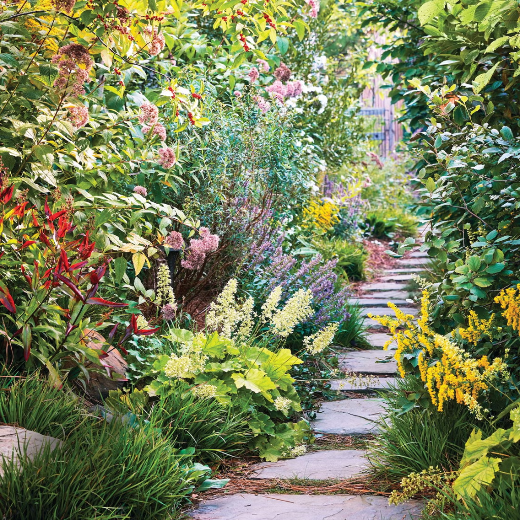 Beautiful garden pathway surrounded by flowering perennials, shrubs, and companion plants