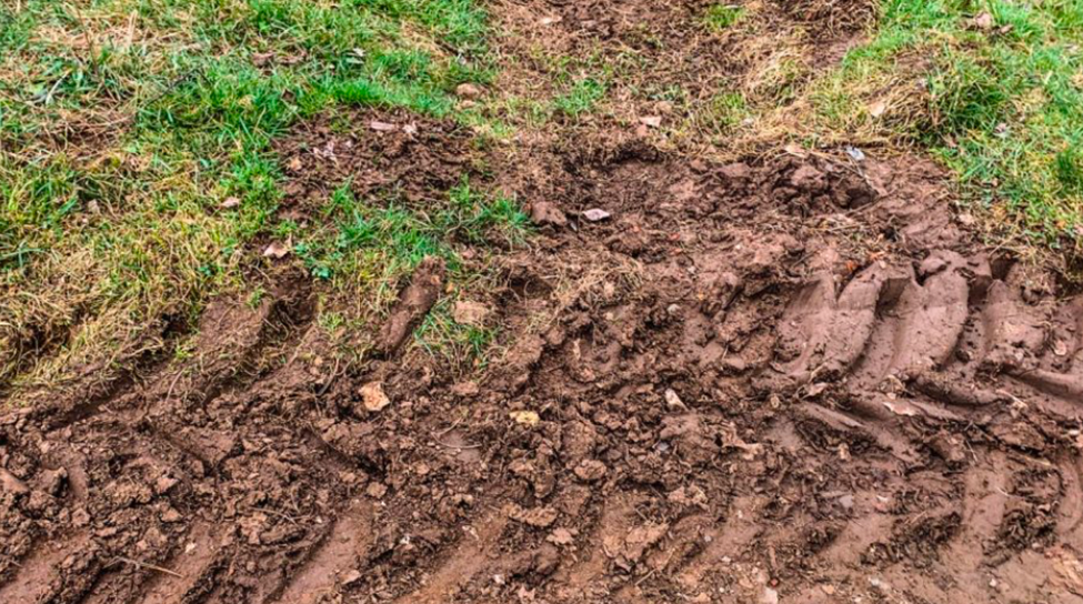 Compacted lawn soil with bare patches caused by heavy foot traffic