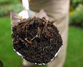 Shovel holding nutrient-rich compost soil used for improving garden beds naturally