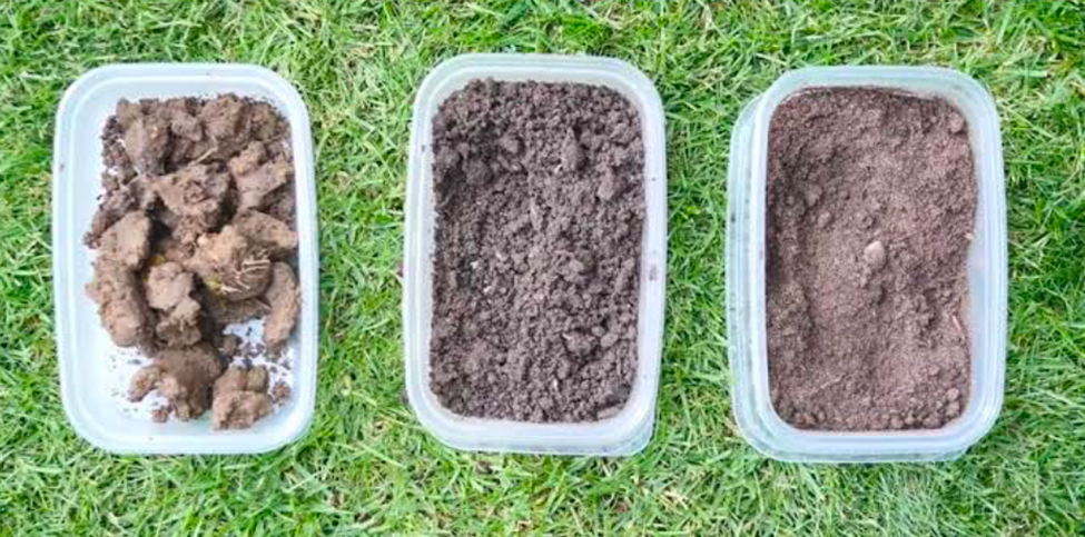 Comparison of compacted, loamy, and sandy soil types for lawn health
