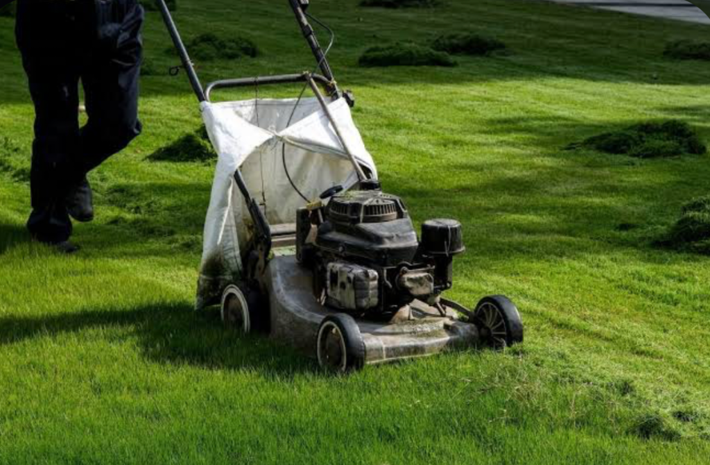 Homeowner mowing a green lawn with a push lawn mower during yard maintenance