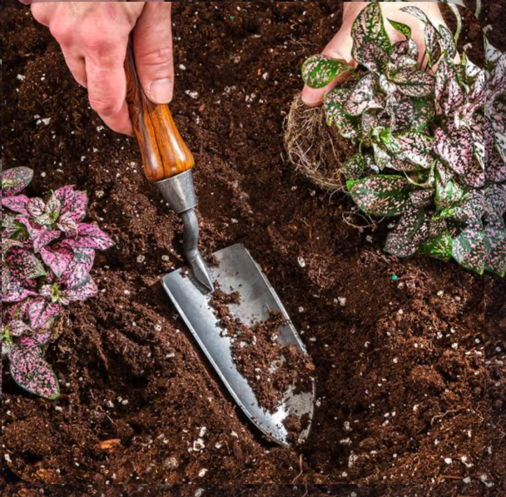 hand using a garden trowel to dig soil and plant flowers in a garden bed