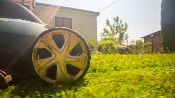 Lawn mower cutting grass in a sunny backyard garden