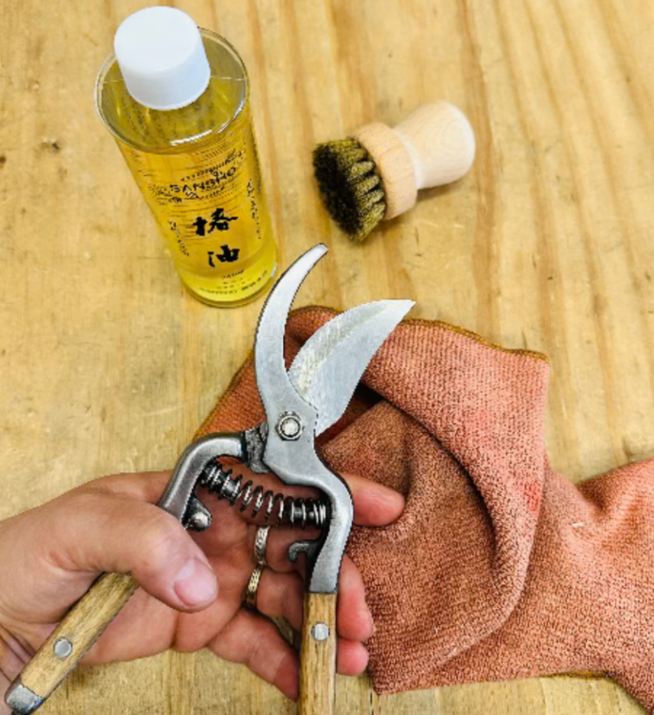 Hand cleaning garden pruning shears with oil, brush, and cloth for tool maintenance on wooden surface