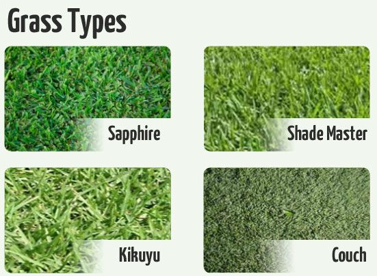Grass types comparison chart showing Sapphire, Shade Master, Kikuyu, and Couch grass