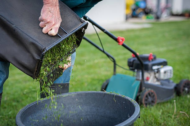 emptying grass clippings from lawn mower bag into compost bin after mowing lawn