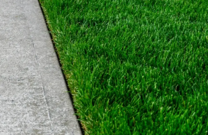 close up of clean edged lawn beside concrete sidewalk with sharp grass border
