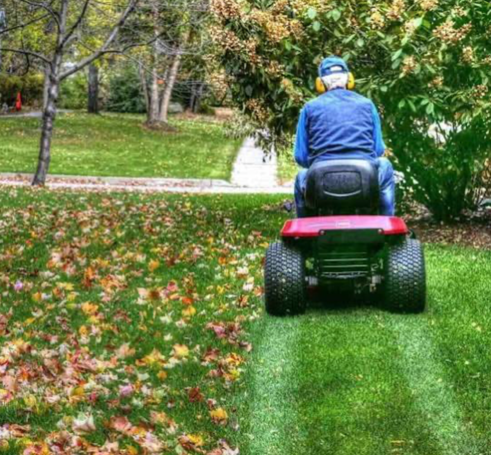 person using riding lawn mower to maintain backyard grass