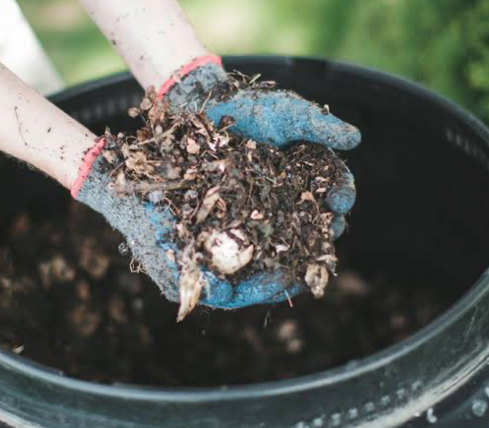 hands holding compost organic matter for improving soil and lawn health