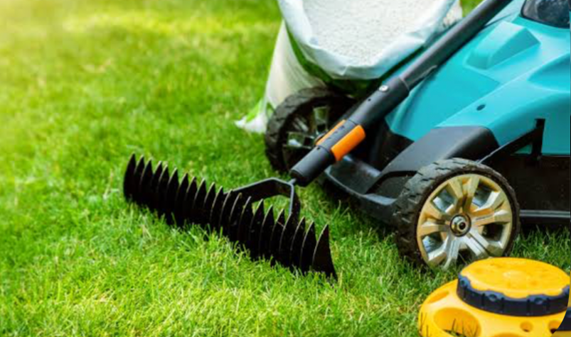 lawn dethatcher attachment removing thatch from grass for better growth