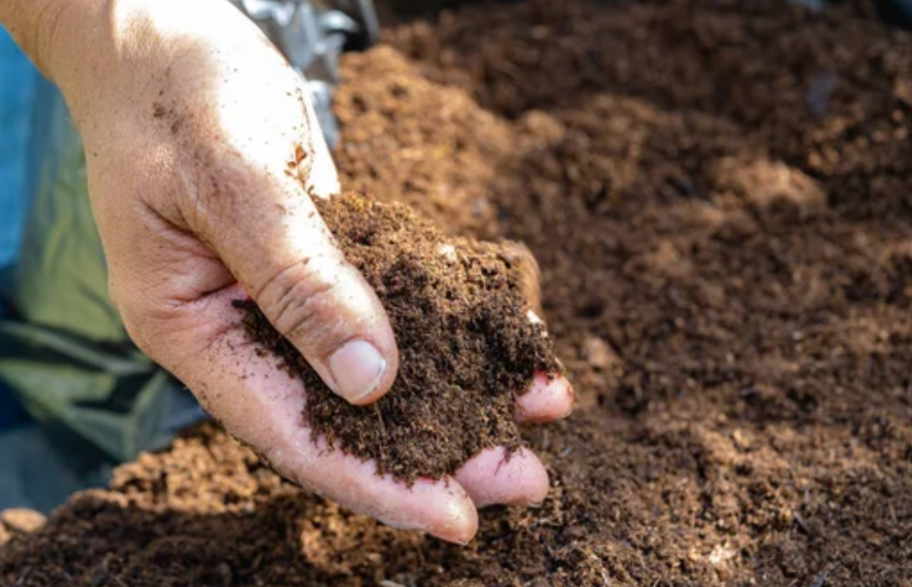 hand holding compost enriched soil for improving garden fertility and structure