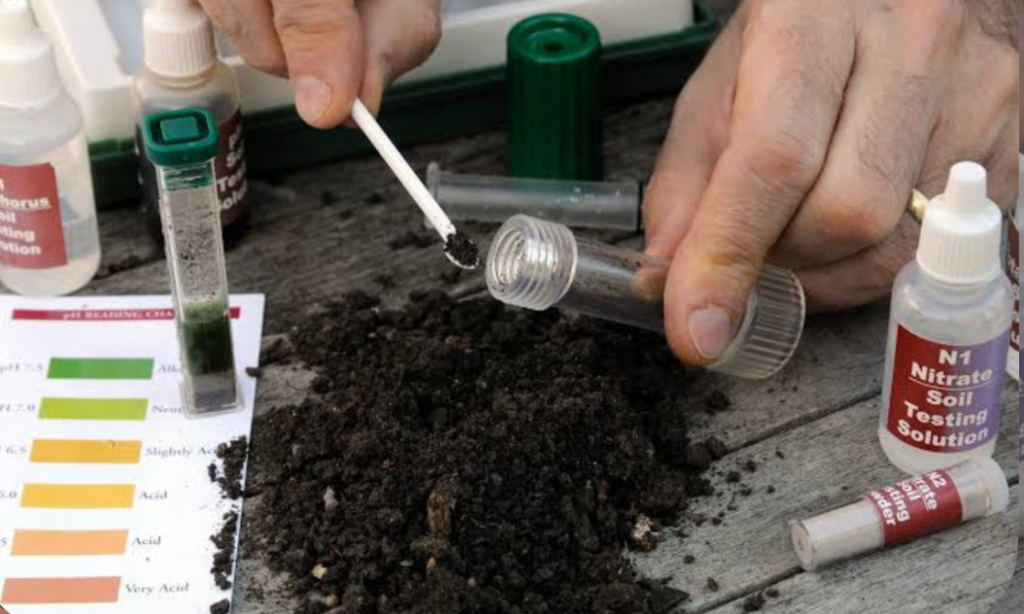 testing soil nutrients with home soil test kit for ph and nitrogen levels