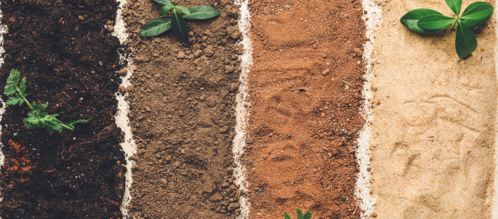 comparison of different soil types including clay sand loam and organic soil for gardening