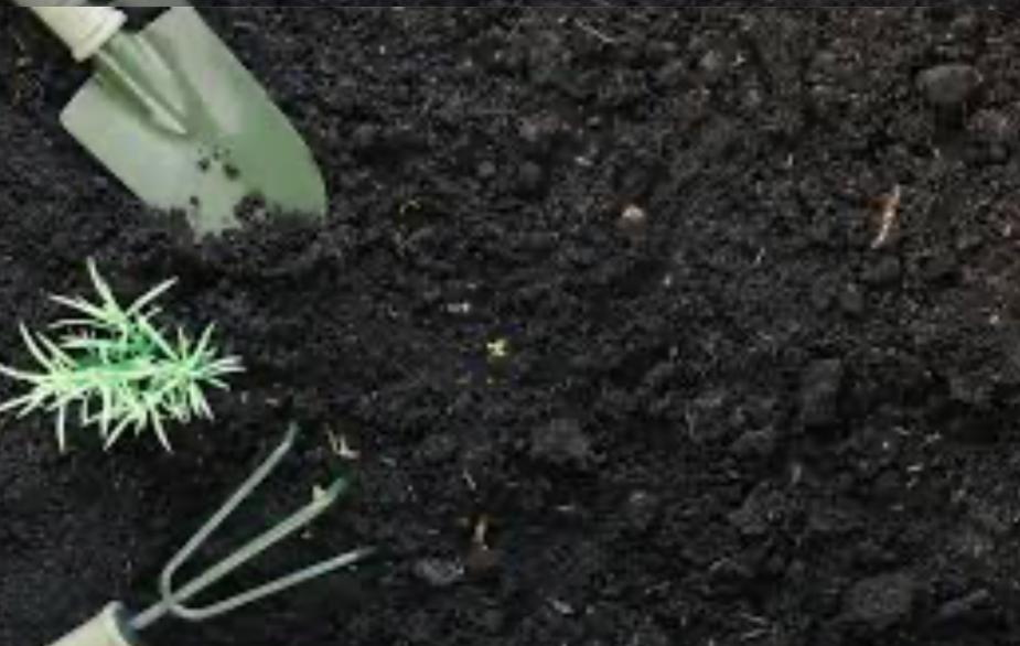 small gardening tools placed in rich soil for lawn and garden care