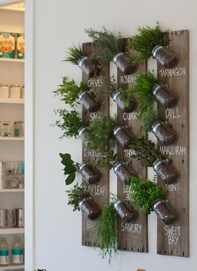 rustic wall mounted herb garden with labeled mason jar planters for kitchen herbs