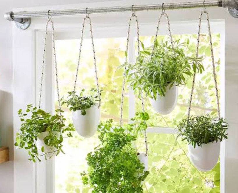 hanging indoor herb planters near a bright window for space saving gardening
