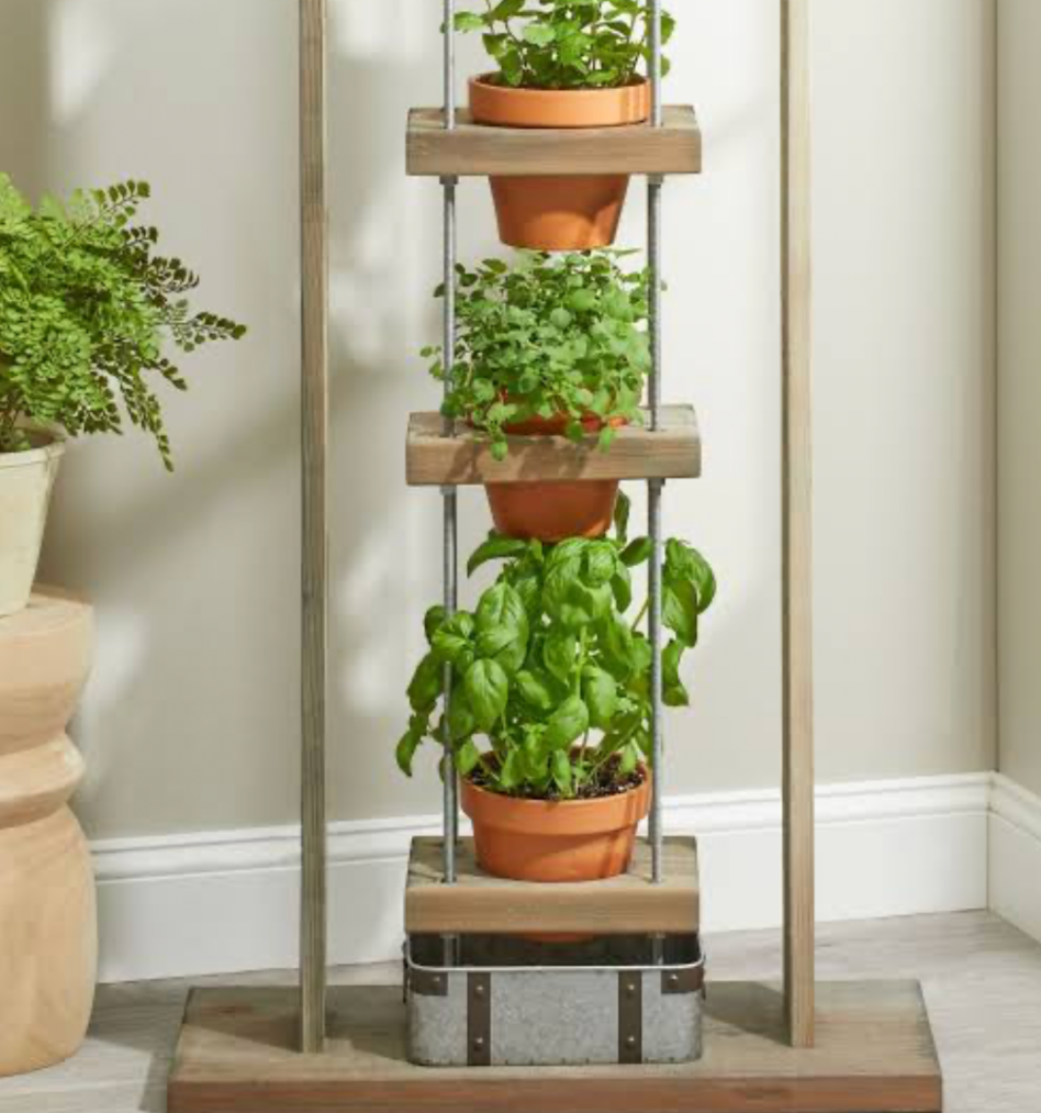 tiered wooden indoor herb planter stand with basil mint and parsley plants