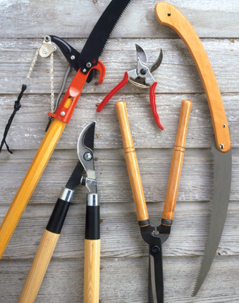 garden pruning tools including loppers hedge shears and hand pruners on wooden surface